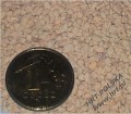 diatomit, dodatek dla kur, ochrona kurnika, ochrona przed pasożytami, opryskiwanie kurnika, środek na ptaszyńca, walka z ptaszyńcem, ziemia okrzemkowa, zwalczanie owadów, zwalczanie pasożytów, zwalczanie roztoczy